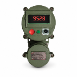 Flameproof Process Indicator - 170 mm Diameter(0.56" Display) / Cat VPI - 170