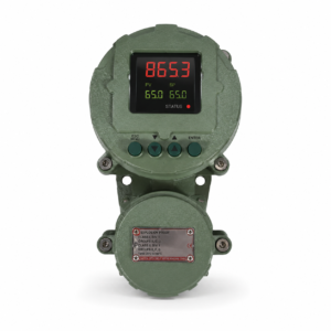 Flameproof Process Controller